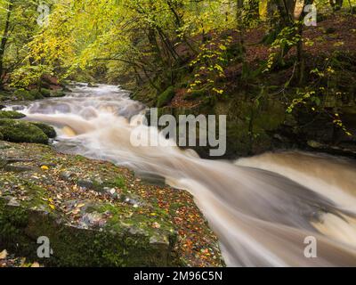 Wasserfälle bei den Birks of Aberfeldy, Moness Burn, Perth und Kinross, Schottland Stockfoto