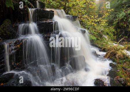 Wasserfälle bei den Birks of Aberfeldy, Moness Burn, Perth und Kinross, Schottland Stockfoto