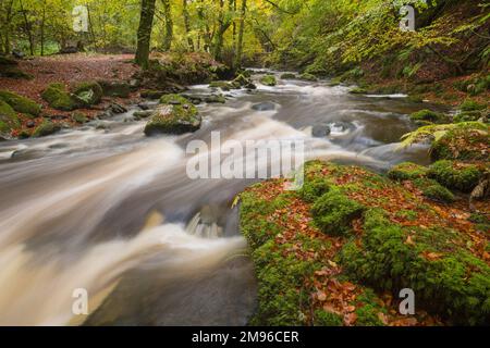 Wasserfälle bei den Birks of Aberfeldy, Moness Burn, Perth und Kinross, Schottland Stockfoto