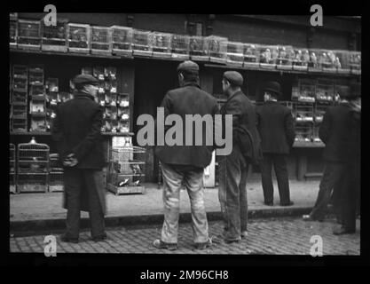 Männer stehen auf der Straße vor einem Vogelmarkt im East End von London. Die Vögel sind in zahlreichen Käfigen ausgestellt. Dies war möglicherweise in der Sclater Street, Shoreditch, in der Nähe von Bethnal Green, wo jeden Sonntag ein Vogelmarkt stattfand. Stockfoto