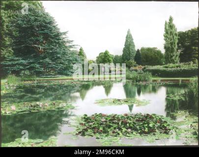 Blick auf den Bodnant Garden in Eglwysbach, Conwy, Nordwales, mit Wasserlilien in Blüten auf einem großen Teich. Stockfoto