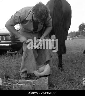 Ein Mann, der den Schlamm aus dem HUF eines Pferdes reinigt. Stockfoto