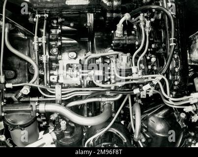 Eland 503 für Westminster Hubschrauber, EL 124 port Motor Stockfoto