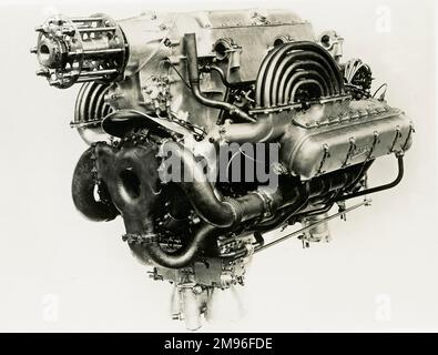 Napier Löwin E71S Stockfoto