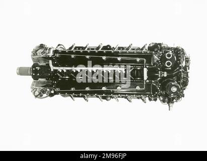 Napier Halford Dolch VIII Motor Stockfoto