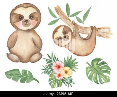 Faulenzer-Clipart. Aquarell Baby Faultier Clip Art, tropisches Tier, Blätter Rahmen, Dschungelblütenstrauß, Babydusche, Geburtstagsparty Für Kinder Stockfoto