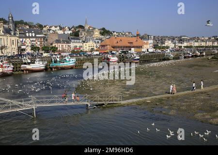 Port (Anschluss). Ebbe. Trouville-sur-Mer. Calvados. Basse-Normandie. Frankreich. Europa. Stockfoto