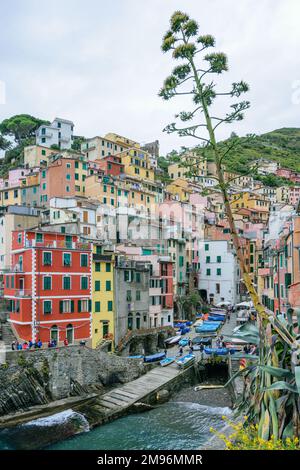 Blick auf Vernazza, ein farbenfrohes Fischerdorf an den Klippen der Cinque Terra, Italien Stockfoto