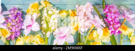 Farbenfrohe Anordnung frischer Frühlingsblumen, großer Strauß von Frühlingsblumen - Narzissen, Hyazinthen, Tulpen, Kamille auf türkisblauem Holzbalken Stockfoto