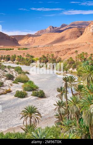 Landschaft von Ziz Valley, Marokko, Afrika Stockfoto