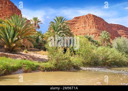 Ziz Gorges, Marokko, Afrika Stockfoto