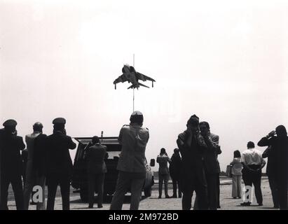 Hawker Siddeley Harrier AV-8A im Schwamm und macht Lärm. Stockfoto