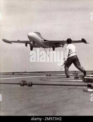 Erster Prototyp von Havilland Sea Venom NF20, WK376, während Deckanlandungen auf HMS Eagle. Stockfoto