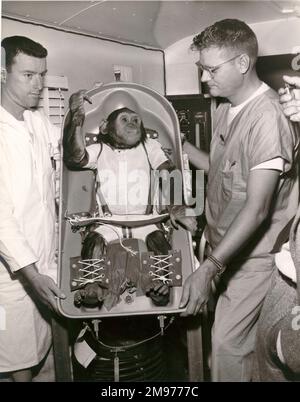 Ham, ein 37 kg schwerer Schimpanse, wurde Amerikas erster „Astronaut“, als er am 31. Januar 1961 von Cape Canaveral aus an Bord des Suborbitalflugs Mercury-Redstone (MR-2) geflogen wurde. Warren J. North, NASA, schrieb am nächsten Tag in einem Memo: „Ham schien sich in einem guten physiologischen Zustand zu befinden, aber irgendwann später, als ihm das Raumschiff gezeigt wurde, war offensichtlich, dass er kein Interesse mehr an einer Zusammenarbeit mit dem Raumflugprogramm hatte.“ Stockfoto