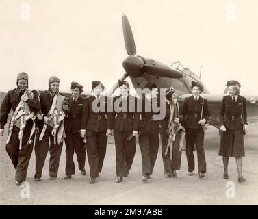 Amerikanische und britische Mitglieder der Air Transport Auxiliary vor einem Hawker Hurricane. Von links: Virginia Farr, New Jersey; Louise „Dutch“ Schuuman, New York; Helen Ritchie, Pittsburgh; Pauline Gower, Commander; Jacqueline Cochran; Pamela Duncan, UK; Frau D. Williams, UK; Zita Irwin, UK und Audrey Sale-Barker. Stockfoto