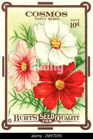 Eine wunderschöne Cosmos-Saatgutpackung von der Burt's Seeds Company, New York. Stockfoto