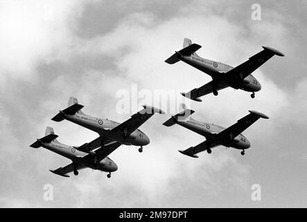 Jagd auf Percival Jet Provost T.4 XP614, XP624, XR648, XR667 „The Vipers“ 2FTS Wycombe 1968 Stockfoto