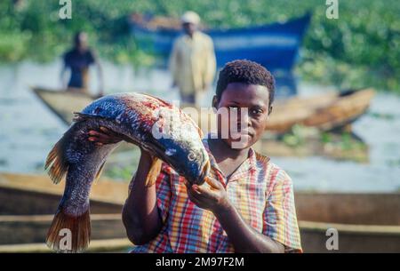 Uganda, Fischerei am Victoria-See. Wasserhyazinthen sind eine Pflanze, die die Fischbestände bedroht und daher für viele pe eine Umweltkatastrophe darstellt Stockfoto