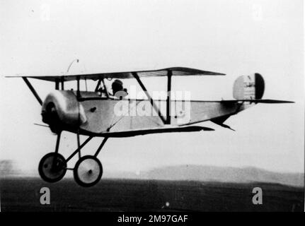 Nieuport 11 Bebe, französisches Einsitzer-Kampfflugzeug, entworfen im Sommer 1914. Hier im Tiefflug gesehen. Stockfoto