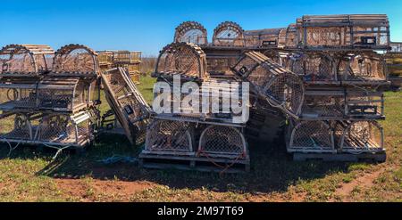 Haufen Fallen für die Hummerernte auf einem Küstenfeld, Island Trail, Prince Edward Island, Kanada Stockfoto