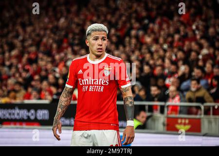 Lissabon, Portugal. 15. Januar 2023. Enzo Fernández von SL Benfica schaut beim Liga Portugal Bwin Match zwischen SL Benfica und Sporting CP in Estadio da Luz zu. Endstand: SL Benfica 2:2 Sporting CP. Kredit: SOPA Images Limited/Alamy Live News Stockfoto