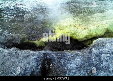 Neuseeland, Schwefelsedimente im Whakarewarewa Thermal Park Stockfoto