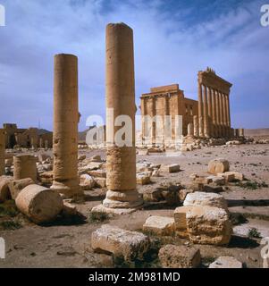 Palmyra, Syrien - Säulen und Blick in Richtung des Tempels von Bel (Baal). Die Tempelruinen wurden im August 2015 vom Islamischen Staat Irak und der Levante (ISIS) zerstört. Stockfoto
