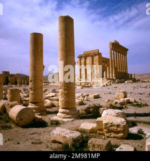 Palmyra, Syrien - Säulen und Blick in Richtung des Tempels von Bel (Baal). Die Tempelruinen wurden im August 2015 vom Islamischen Staat Irak und der Levante (ISIS) zerstört. Stockfoto