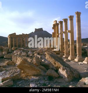 Palmyra, Syrien - die Kolonnade mit Blick auf das Schloss Fakhr-al-DIN al-Maani. Stockfoto