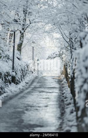 Gerade Straße durch den Winterwald, Salzburg, Österreich Stockfoto