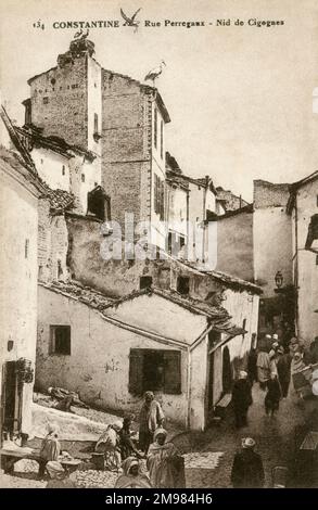 Constantine, Algerien - ein Paar Störche nistet auf einem Ziegelgebäude in der Rue Perregaux, während Gruppen von Menschen darunter vorbeifahren. Stockfoto