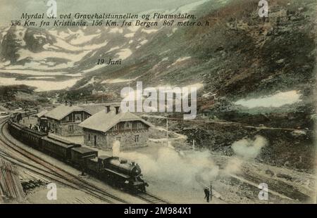 MYRDAL St. Ved Gravehalstunnellen Og Flaamsdalen Train Locomotive Norway. Bergbahnhof, Farbton. Mit Dampfmaschine, die durch die Station läuft. Stockfoto