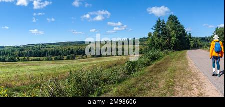 Rückansicht eines Seniorenmannes, der eine Straße entlang geht, Prince Edward Island, Kanada Stockfoto