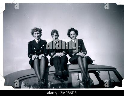 Drei Kollegen bei Lessingen, Deutschland, Juli 1945. Stockfoto