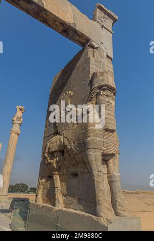 Stierkörper und Menschenkopfstatue am Tor der Nationen in Persepolis, Iran Stockfoto