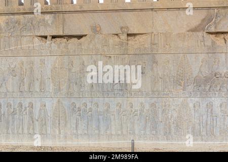 Bas Reliefs im Apadana Palast in der antiken Persepolis, Iran Stockfoto