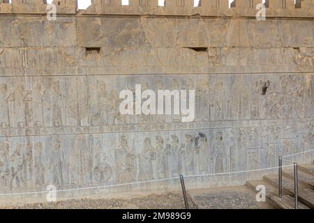 Bas Reliefs im Apadana Palast in der antiken Persepolis, Iran Stockfoto