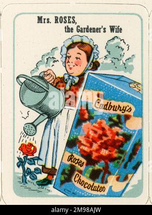 Cadbury's Cocoa Cubs Happy Families - Mrs. Roses die Frau des Gärtners. Stockfoto