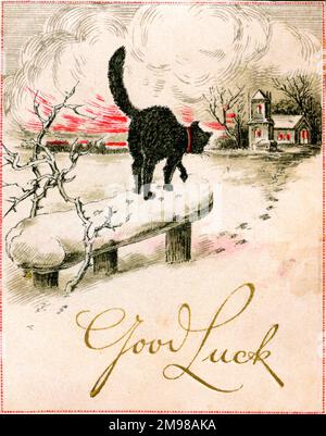 Viel Glück mit der Weihnachtskarte, Katze im Schnee. Stockfoto