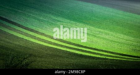 Wunderschöne mährische Felder Stockfoto