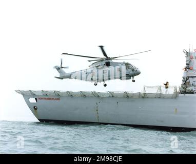 Eh Industries (später AgustaWestland) EH101 PP5, ZF649, der fünfte von neun Vorserien-Hubschraubern, nähert sich HMS Northumberland (F238), einer Fregatte vom Typ 23. Stockfoto