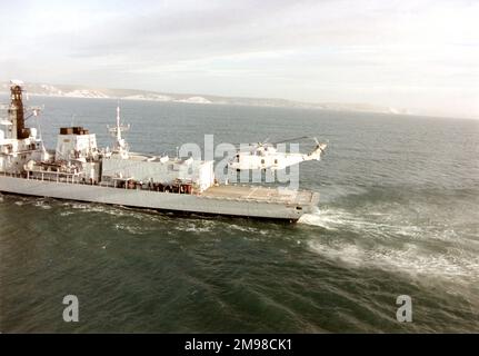 Eh Industries (später AgustaWestland) EH101 PP5, ZF649, der fünfte von neun Vorserien-Hubschraubern, nähert sich HMS Norfolk (F230), einer Fregatte vom Typ 23. Stockfoto