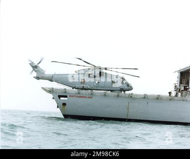 Eh Industries (später AgustaWestland) EH101 PP5, ZF649, der fünfte von neun Vorserien-Hubschraubern, auf HMS Northumberland (F238), einer Fregatte vom Typ 23. Stockfoto