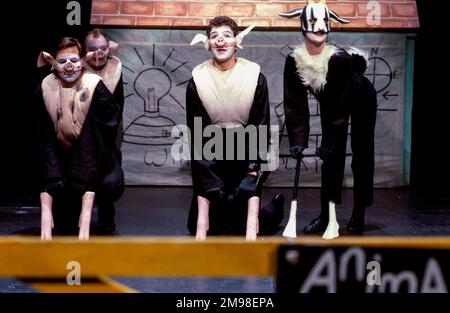 Von links: Barrie Rutter (Napoleon), David Ryall (Squealer - Rear), Greg Hicks (Snowball) in DER TIERFARM von George Orwell im Cottesloe Theatre, National Theatre (NT), London SE1 25/04/1984 angepasst und Regie von Peter Hall Design: Jennifer Carey Beleuchtung: John Bury Bewegung: Stuart Hopps Stockfoto