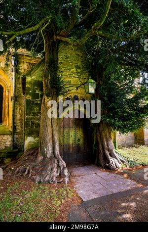 Alte Eibenbäume, die eine alte Tür umgeben, und Formen aus dem 13. Jahrhundert in St. Edwards-Klasse 1-gelistete Kirche in Stow-on-the-Wold in England. Stockfoto