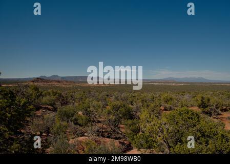 Blick auf die La Sal Berge vom Cedar Mesa Pleateau Stockfoto