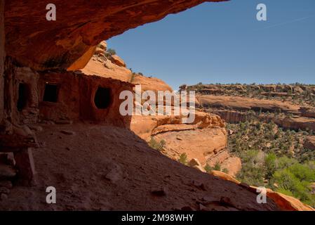 Ein kleines Bauwerk auf einer Nische in der Nähe der Moon House Ruin im Bears Ears National Monument Stockfoto