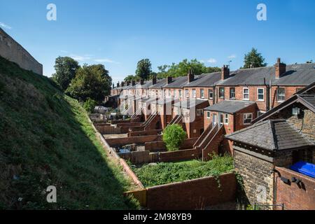 Hinter einer Reihe traditioneller Terrassenhäuser und ihrer Gärten. Stockfoto