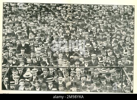 Ein Teil der Menge auf dem Oval Cricket Ground, London. Stockfoto