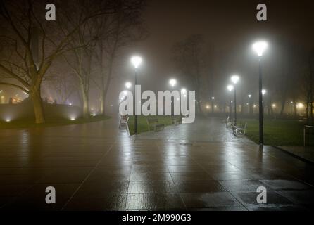 Nachtsicht auf die bunten Straßen der Stadt bei dichtem Nebel und Smog. Wintersaison, Weihnachtszeit mit bunten Lichtern auf den Straßen. Stockfoto